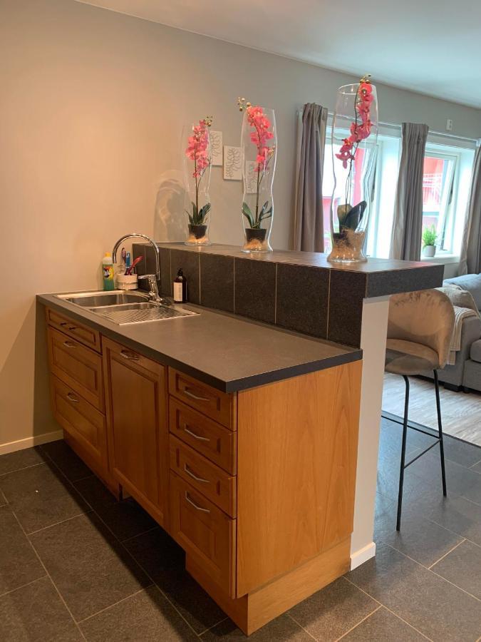 Notodden Sentrum Apartment No 8 Kültér fotó